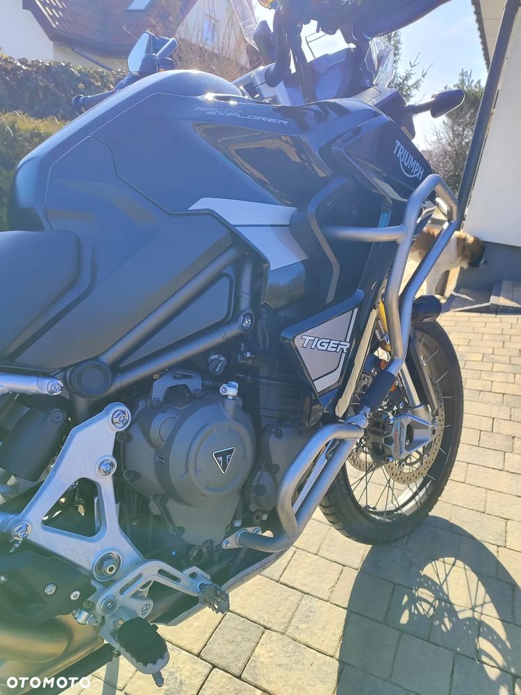 Triumph Tiger - 15