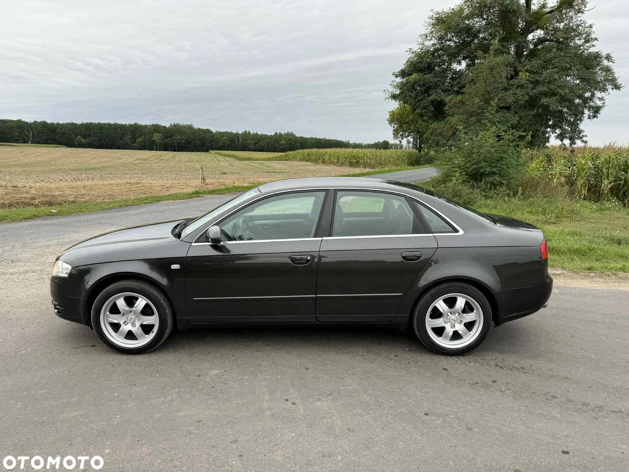 Audi A4 - 20