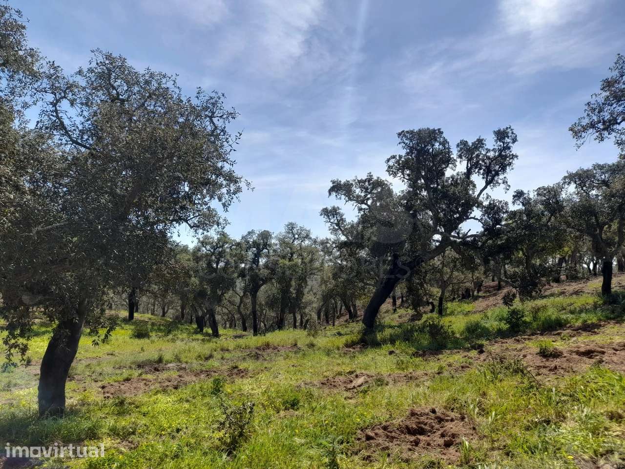 Terreno Urbano com 8.4 H em Melides | Setúbal, Grândola, Melides - Grande imagem: 4/19