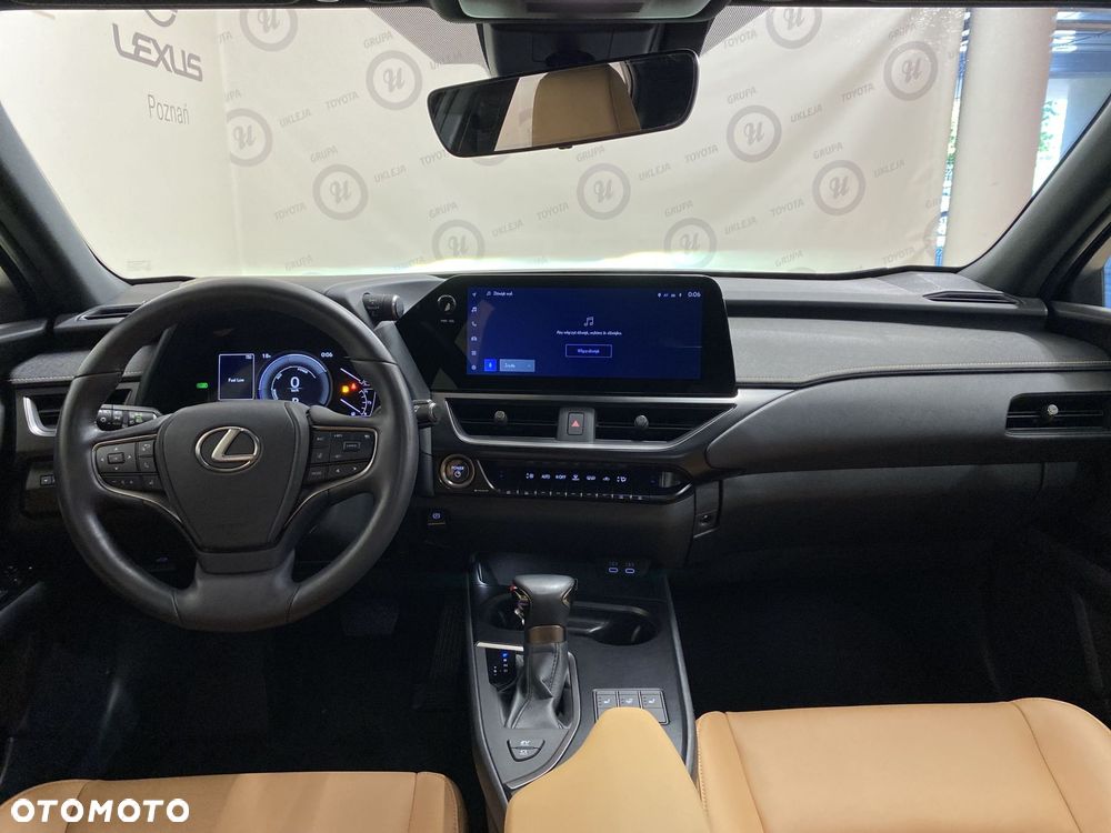 Lexus UX 250h GPF F Sport Design 2WD - 10