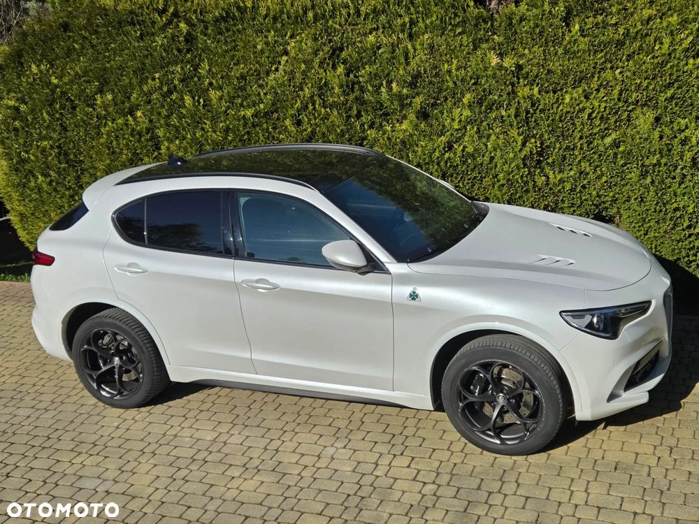 Alfa Romeo Stelvio 2.9 V6 Bi-Turbo Quadrifoglio Niring Q4 - 1