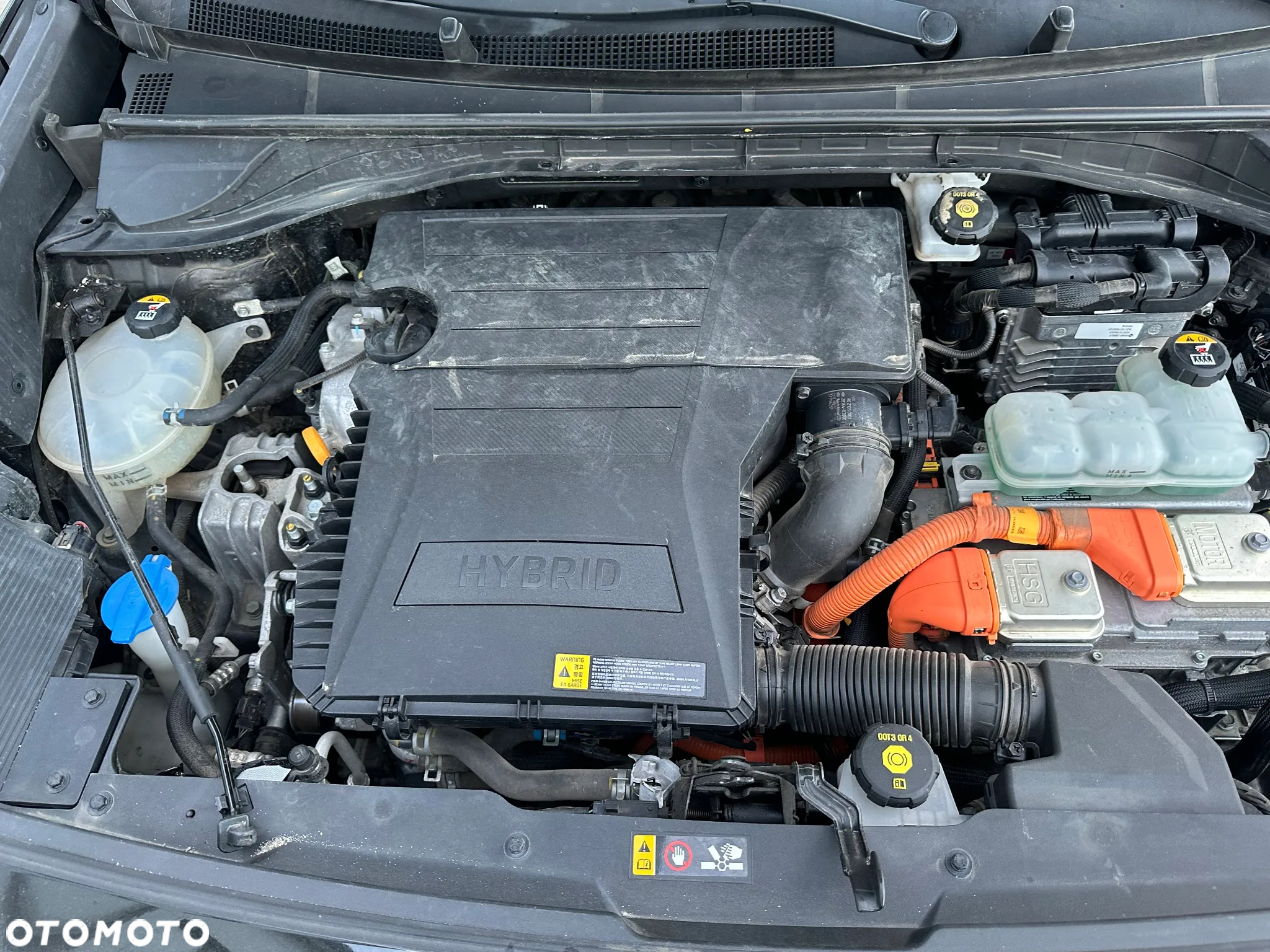 Kia Niro 1.6 GDI Hybrid L - 7