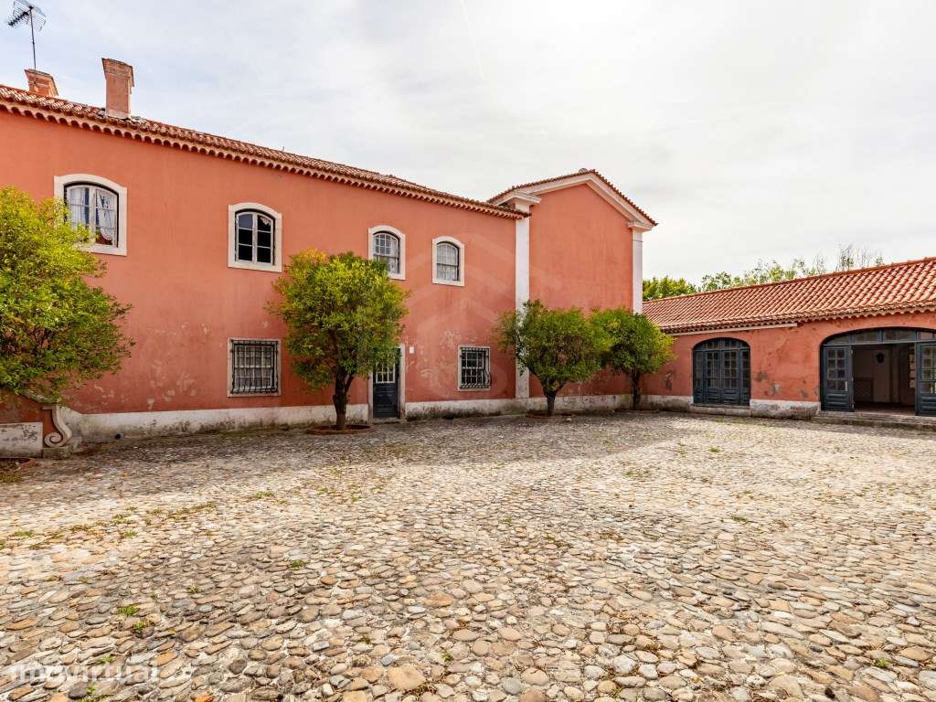 Quinta, Região Centro, Pombal - Grande imagem: 5/60