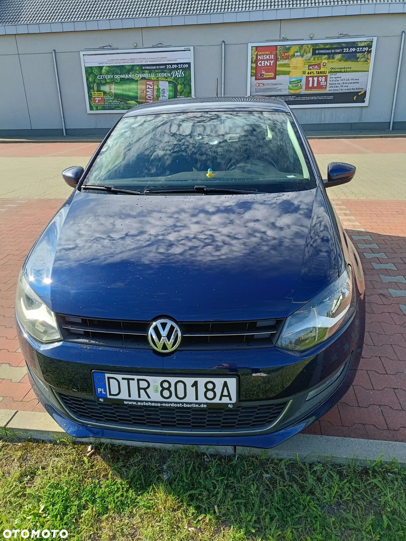 Volkswagen Polo - 1