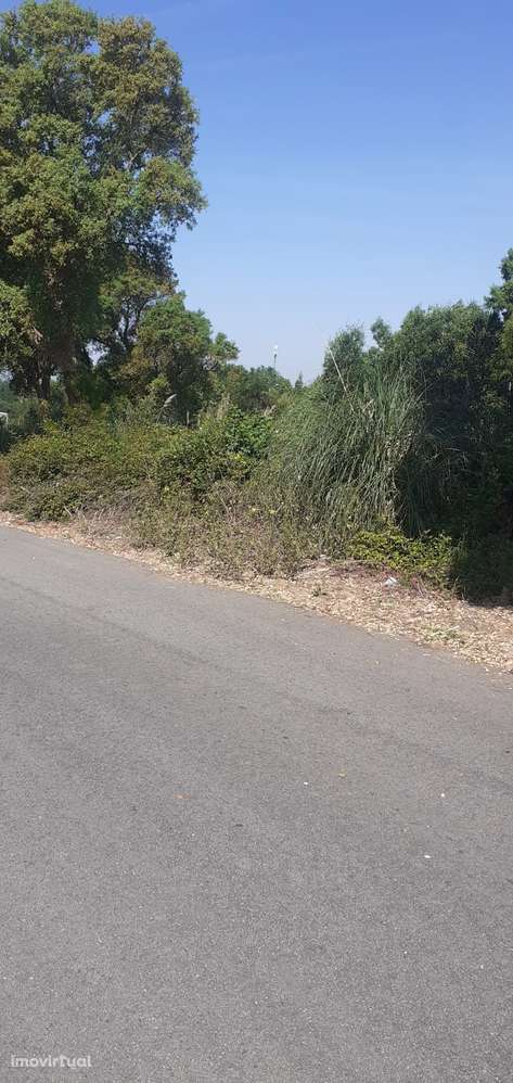 Terreno para construção em Santa Maria de Lamas - Grande imagem: 5/14