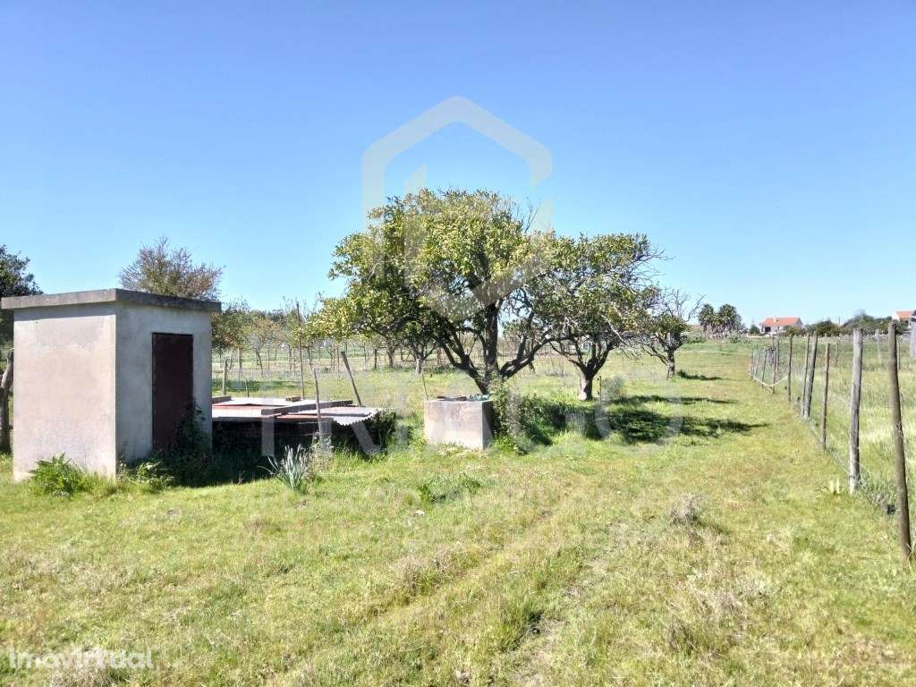 Terreno com 8.520 m2 com viabilidade construtiva para 5 moradias - Grande imagem: 5/14