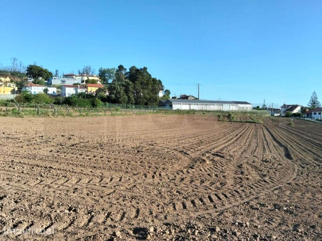 Terreno urbanizável com 19 m de frente- Branca / Albergaria-a-Velha - Grande imagem: 4/14