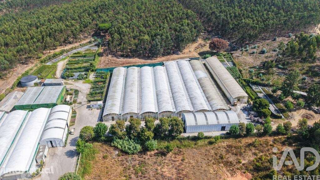 Loja / Estabelecimento Comercial em Ramalhal de 8000,00 m2 - Grande imagem: 5/29