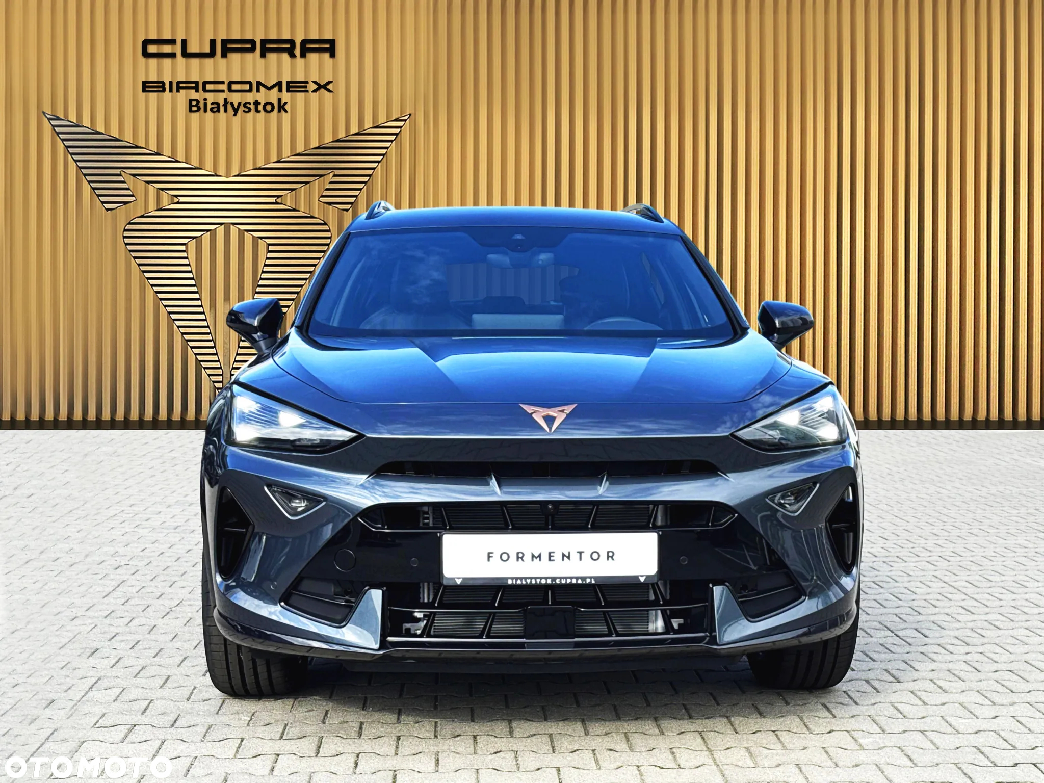 Cupra Formentor 2.0 TSI 4Drive DSG - 8
