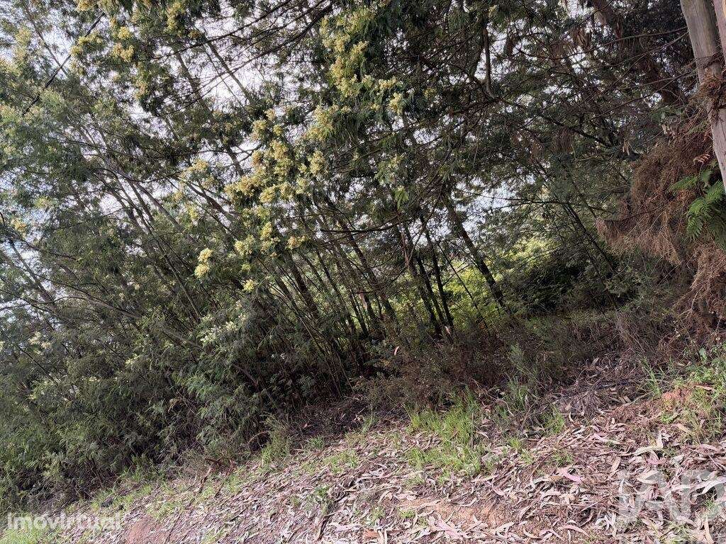 Terreno para construção em Santa Cruz - Grande imagem: 3/16