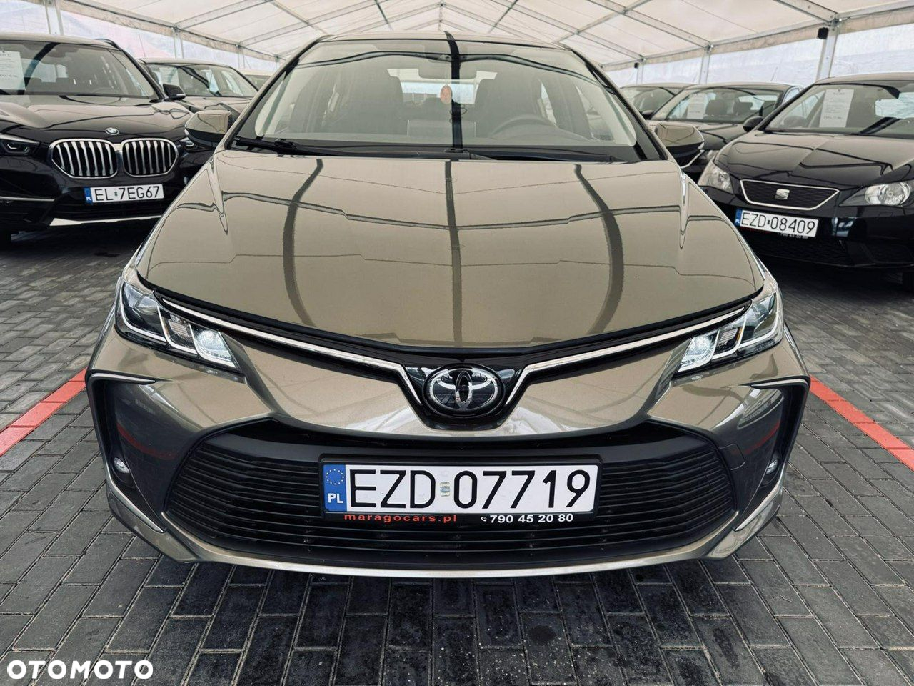 Toyota Corolla - 8