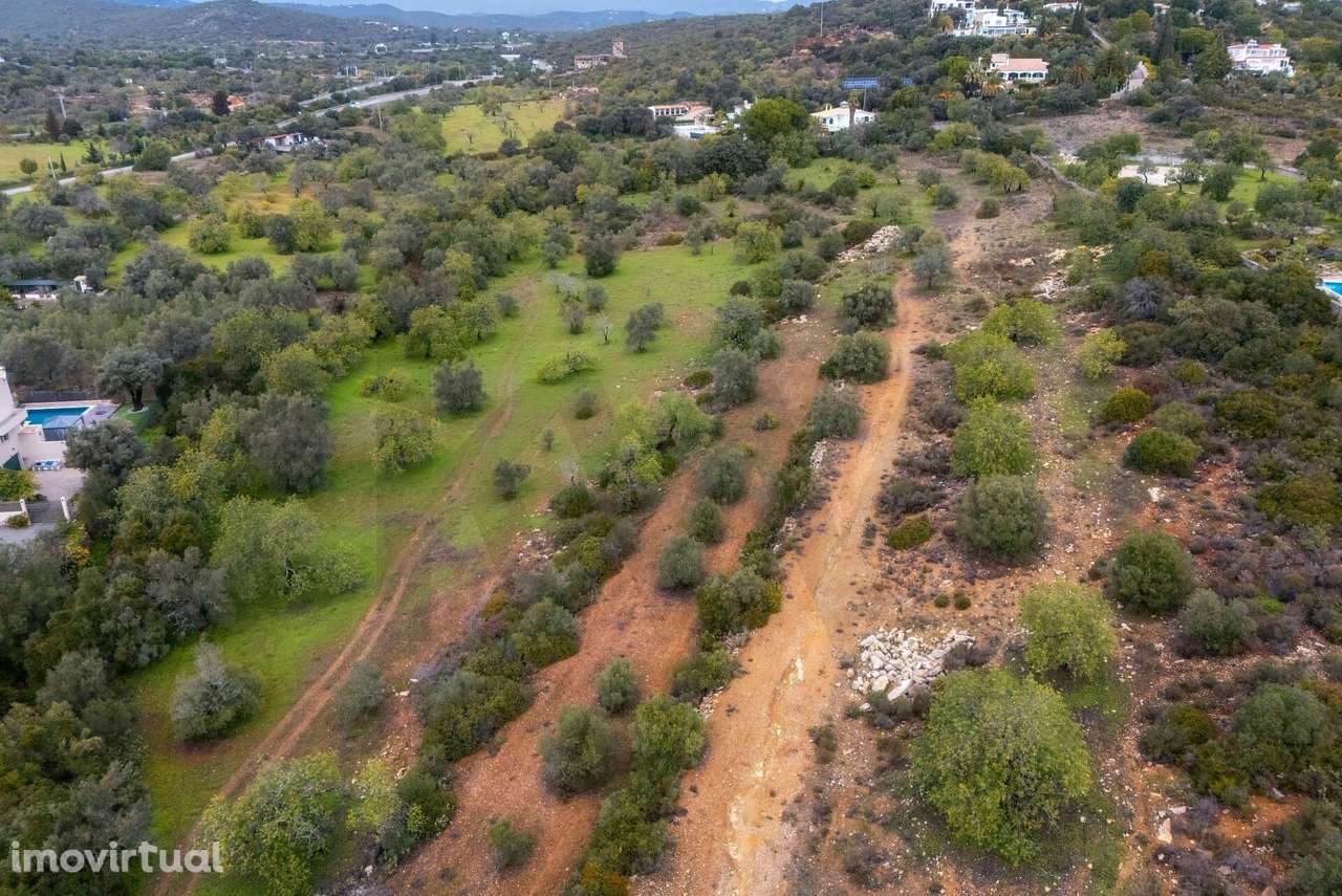 Terreno rústico com 45.941m2, junto ao Hotel Vila Monte em Moncarapach - Grande imagem: 5/20
