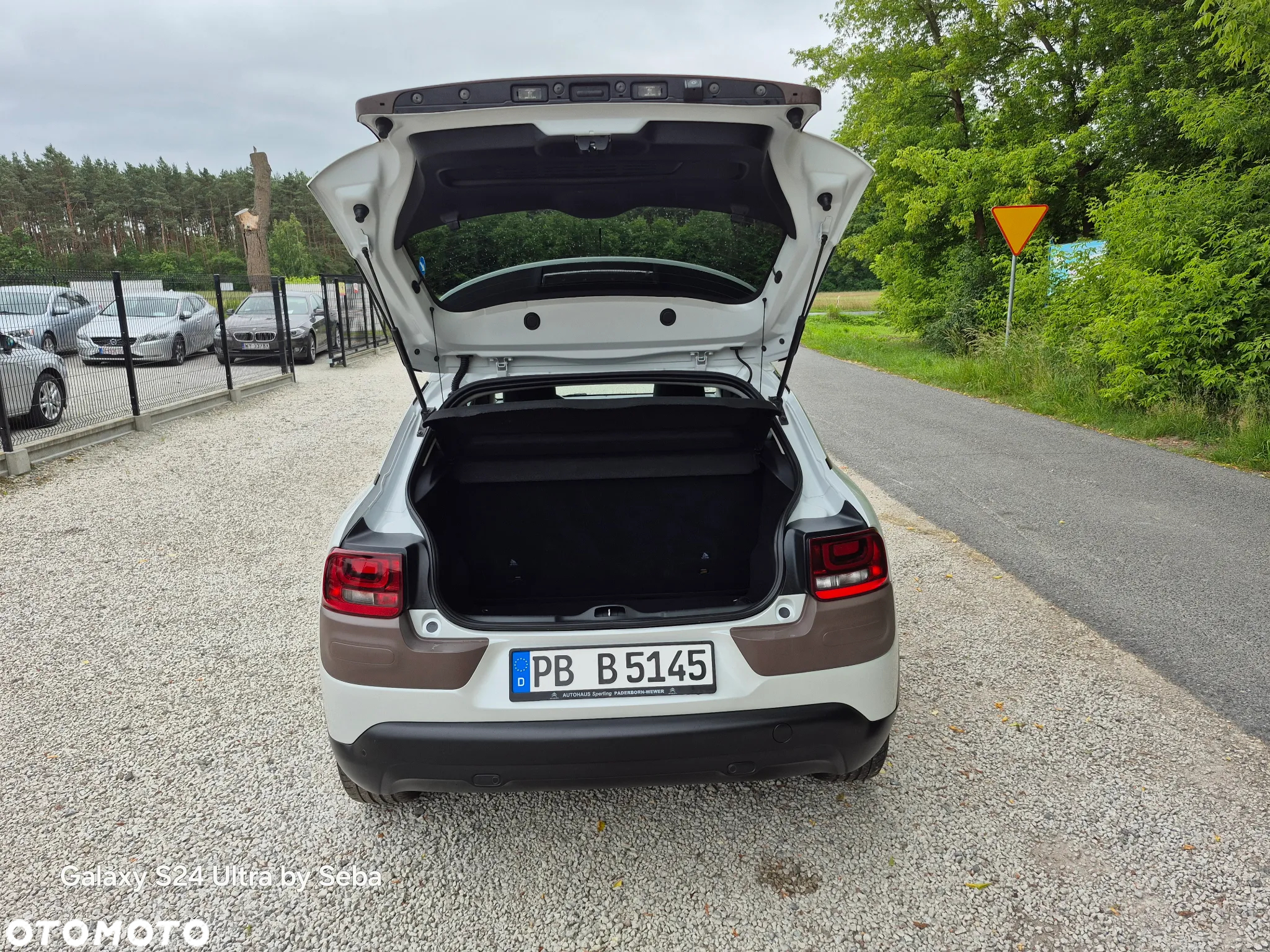Citroën C4 Cactus 1.6 BlueHDi Shine - 23