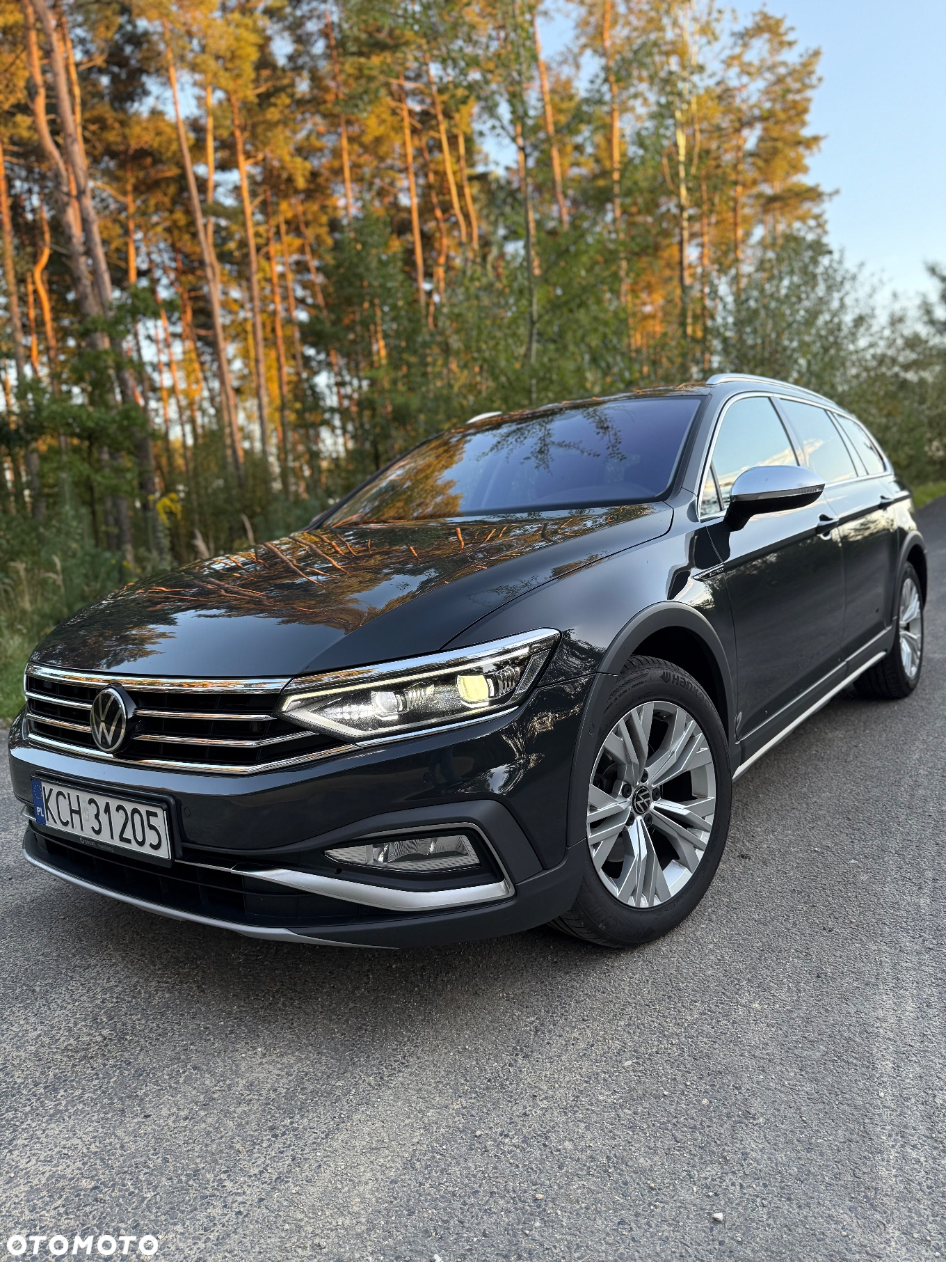Volkswagen Passat Alltrack 2.0 TDI 4Mot DSG - 11