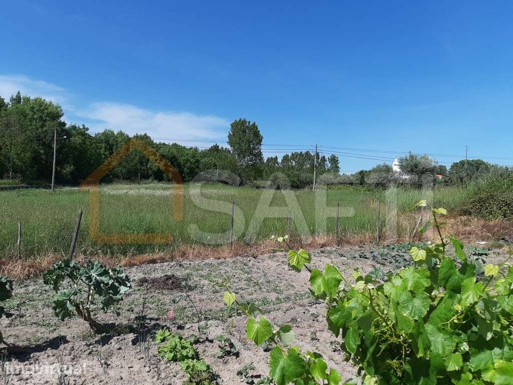 VISEU-NELAS - TERRENO MISTO 7920m2 - OPORTUNIDADE ÚNICA EM CANAS DE... - Grande imagem: 2/4