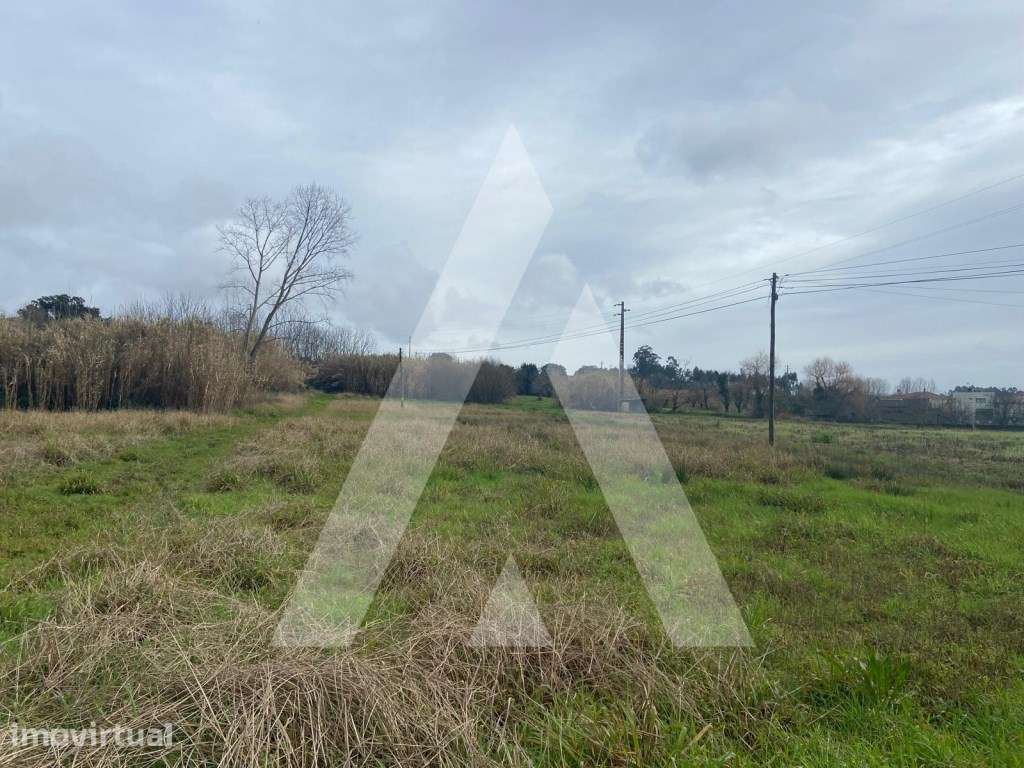terreno na Amoreira da Gândara em Anadia - Grande imagem: 3/6