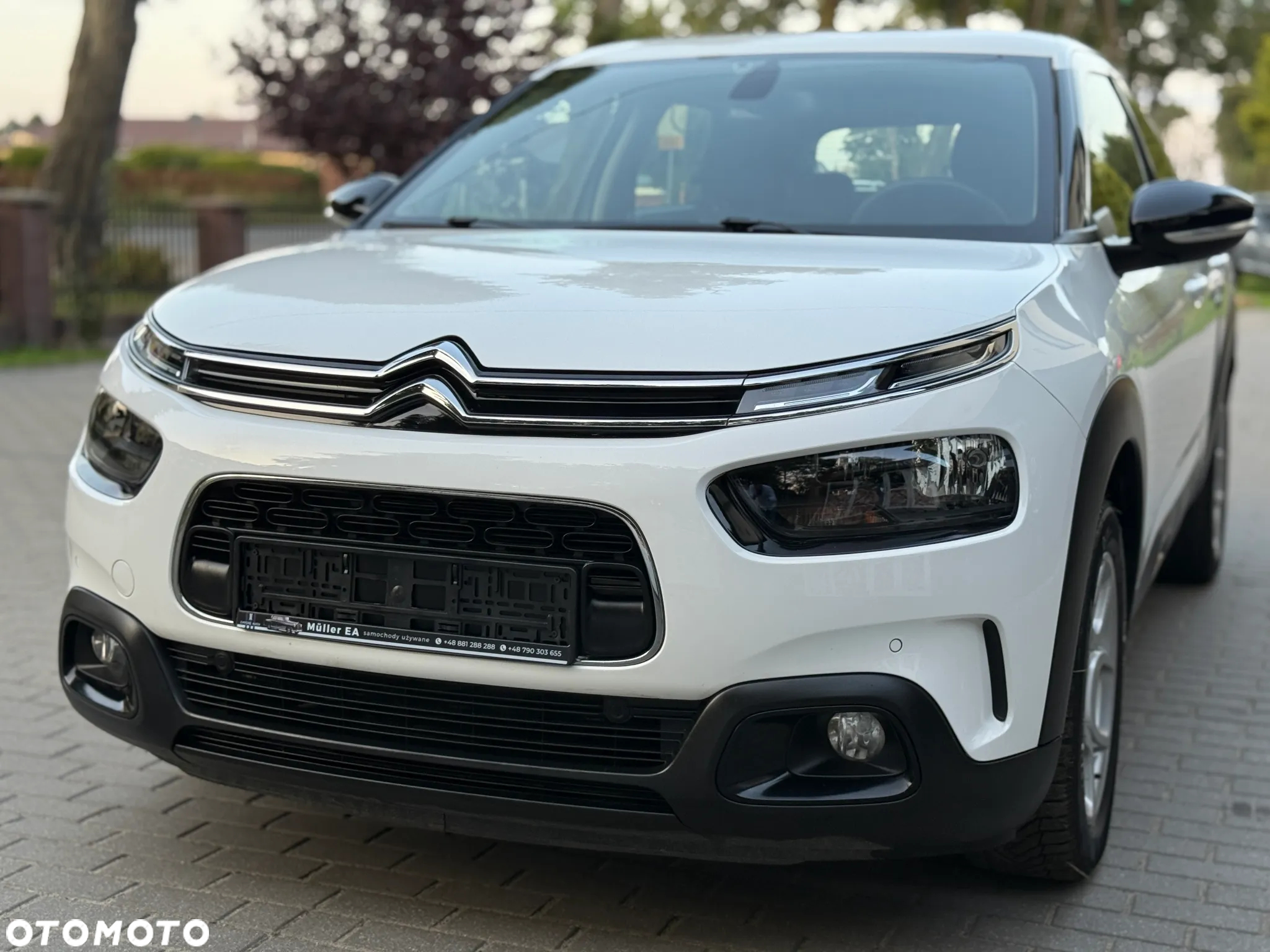 Citroën C4 Cactus 1.2 PureTech Feel Edition S&S - 16