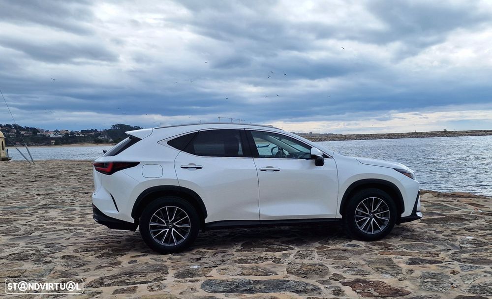 Lexus NX 450h+ - 14
