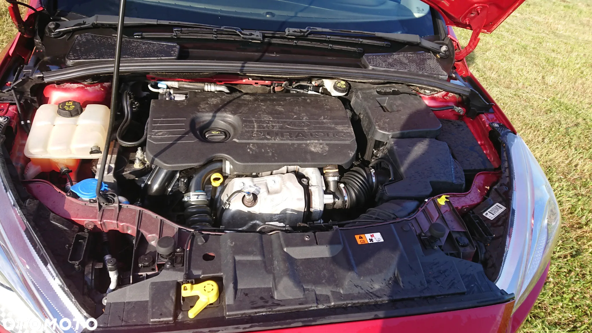 Ford Focus - 25