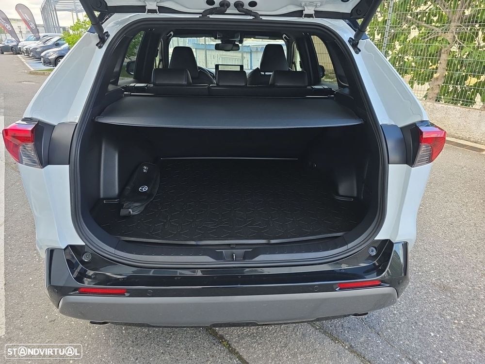 Toyota RAV4 - 14
