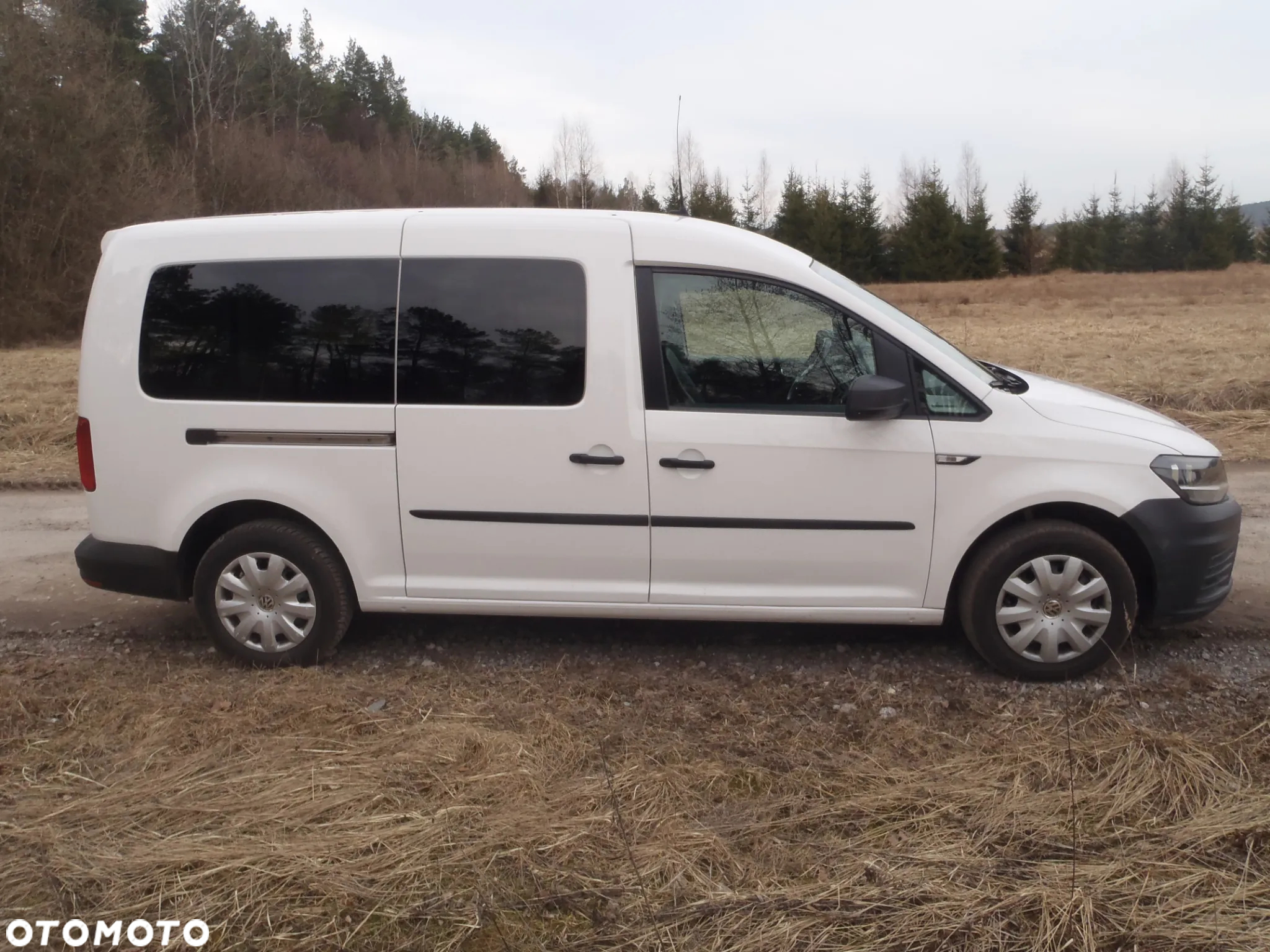 Volkswagen Caddy 2.0 TDI (7-Si.) DSG Maxi Trendline - 12