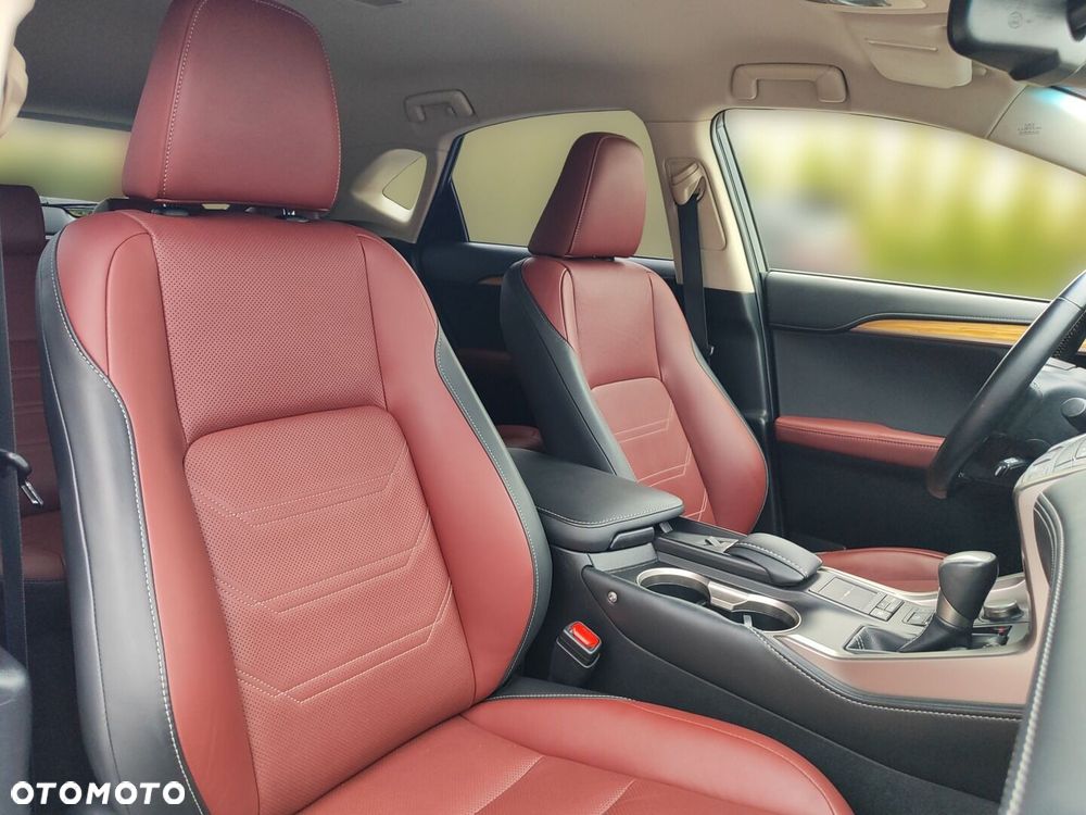 Lexus NX 300h Prestige AWD - 15