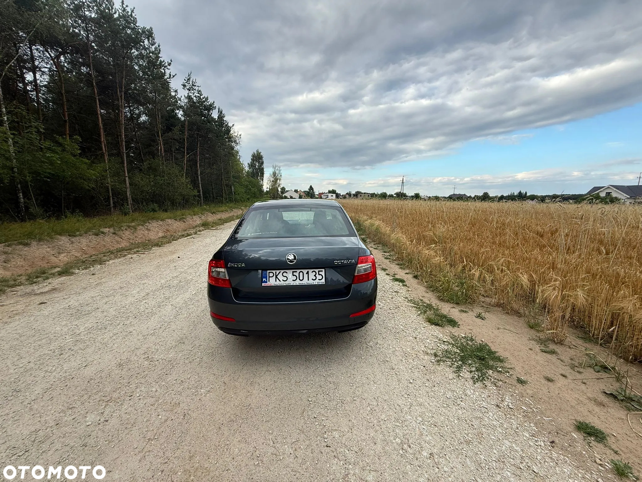 Skoda Octavia 1.4 TSI Ambition - 4