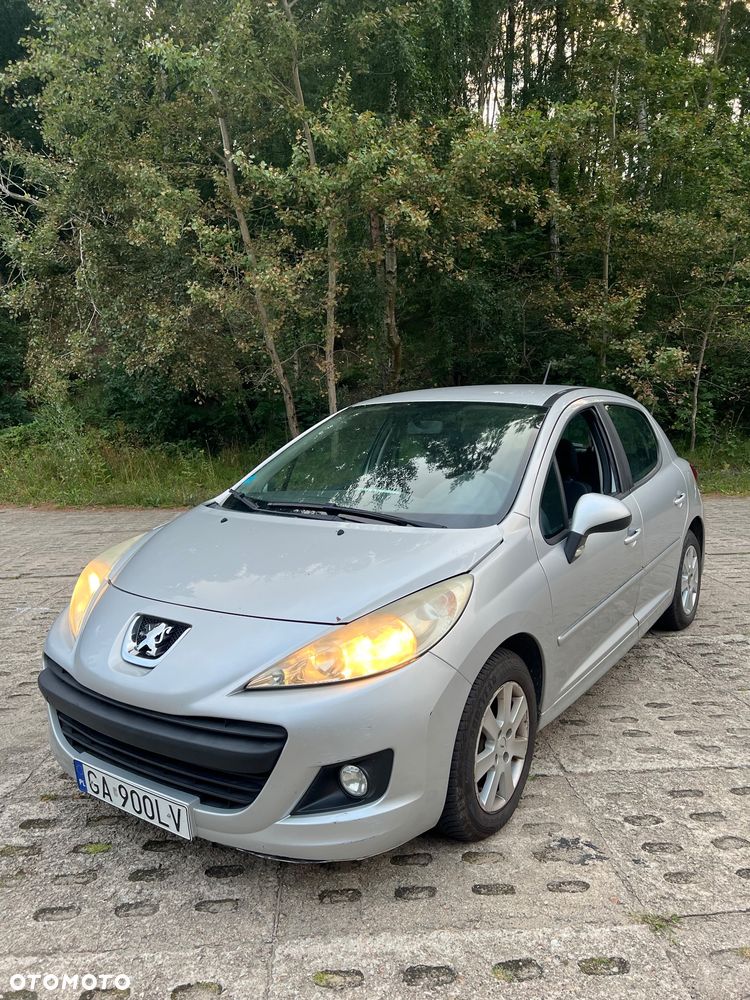 Peugeot 207 - 5