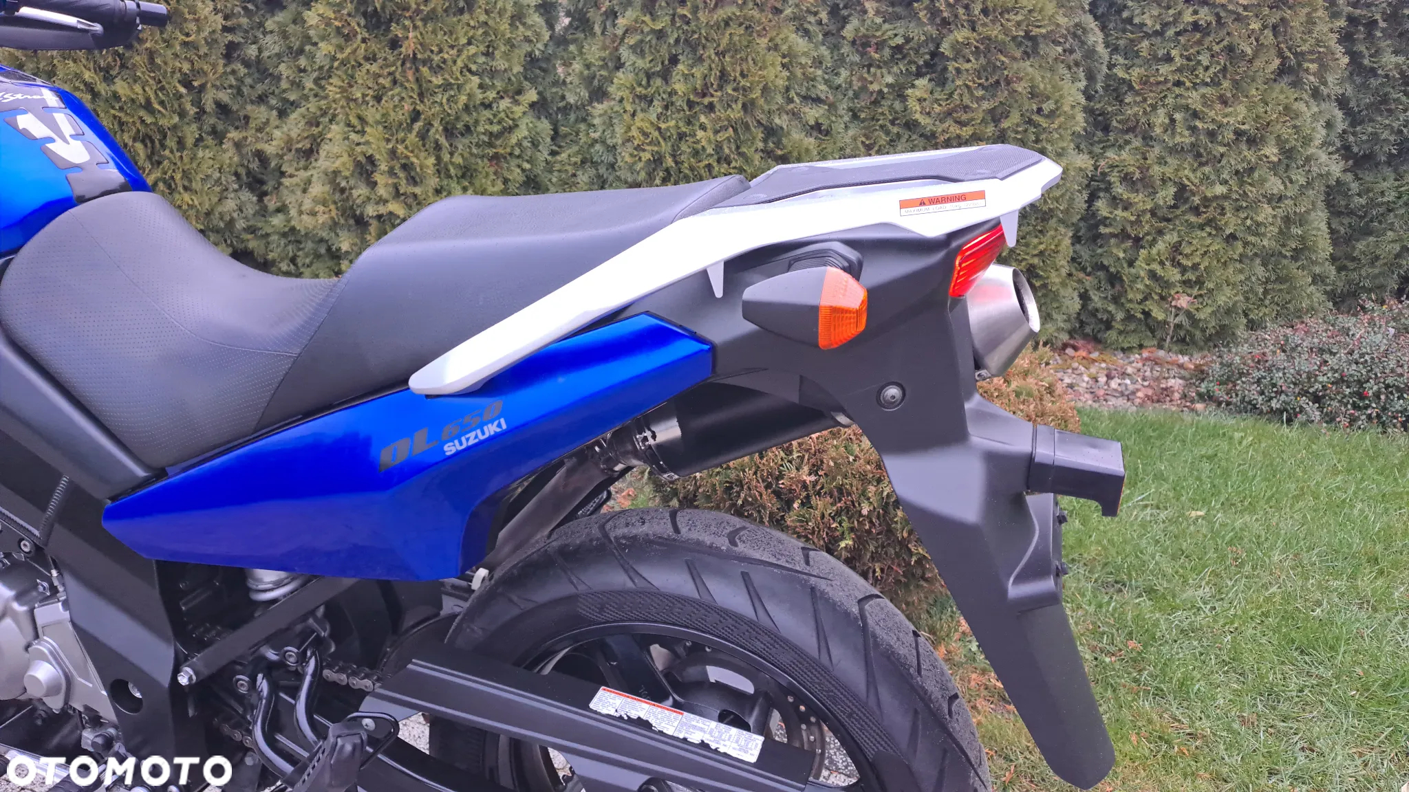 Suzuki DL - 38