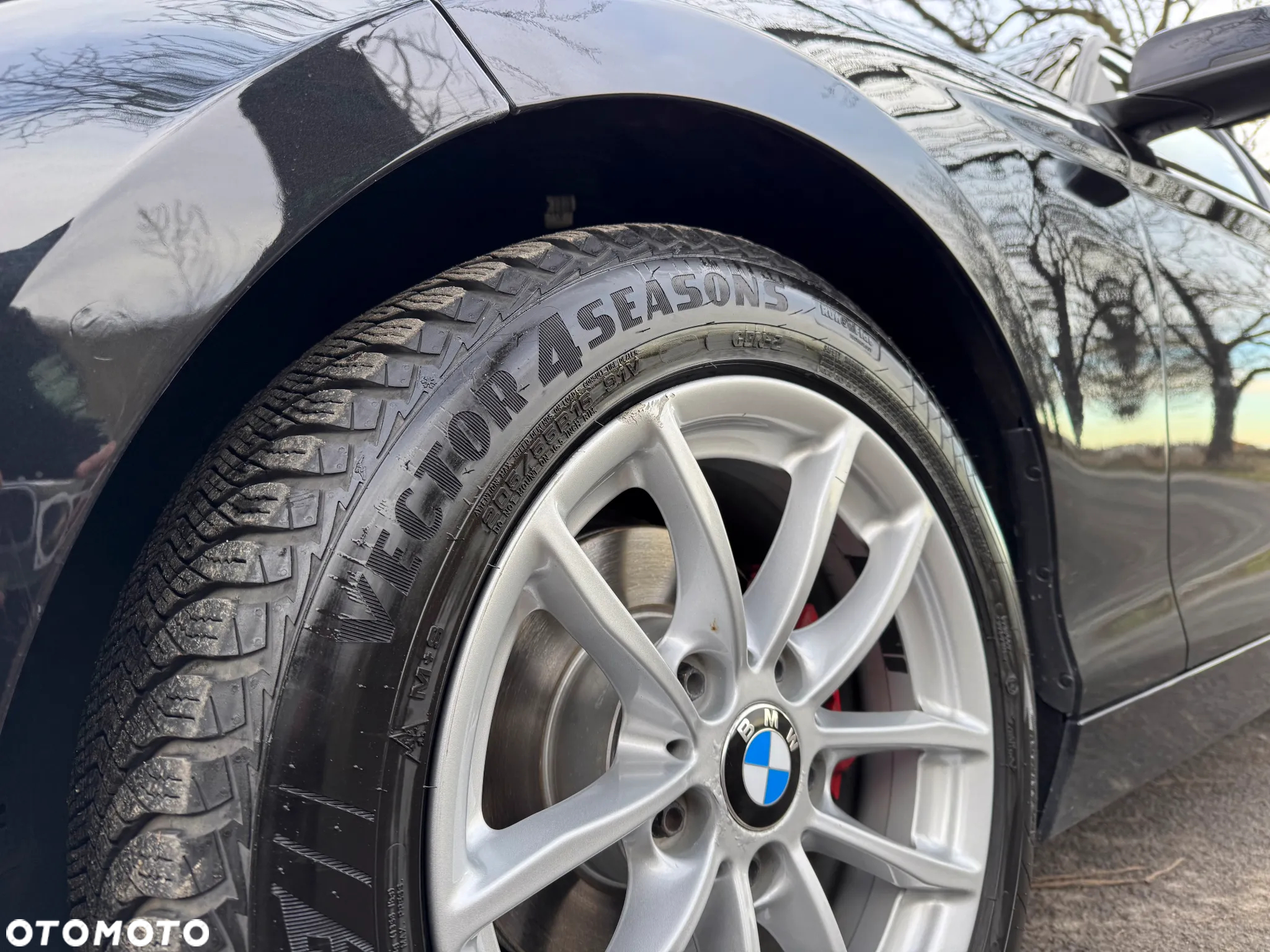 BMW Seria 1 116d - 39