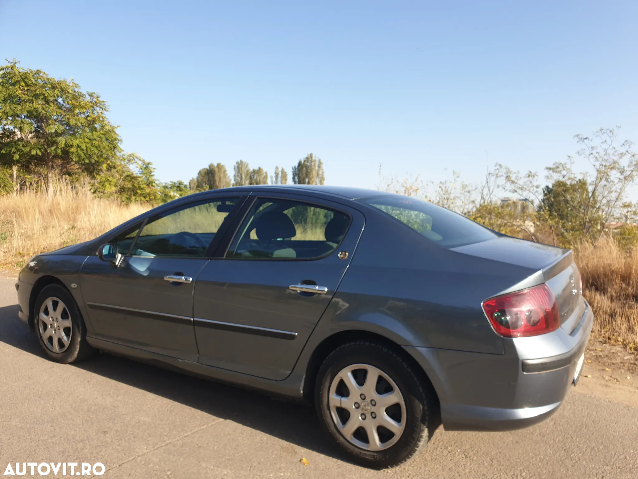 Peugeot 407 HDi 135 Automatik Platinum - 13