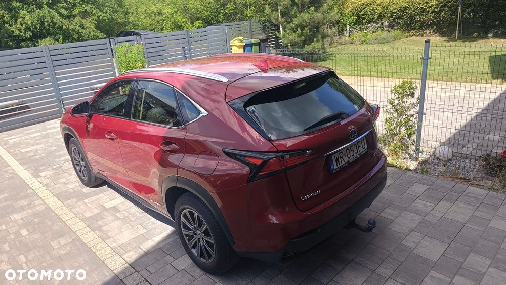 Lexus NX 300h Elegance AWD - 14