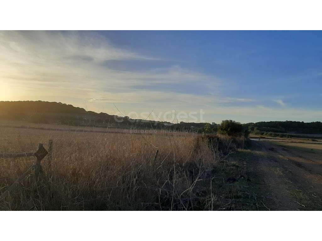 Terreno de Cultura Arvense de Nat Rustica em Almargem do Bispo - Grande imagem: 2/15