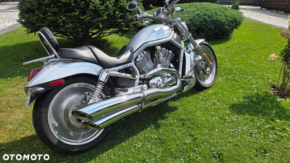Harley-Davidson Softail V-Rod - 2