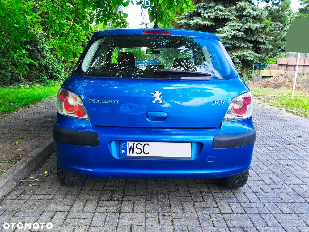 Peugeot 307 1.6 XS - 24