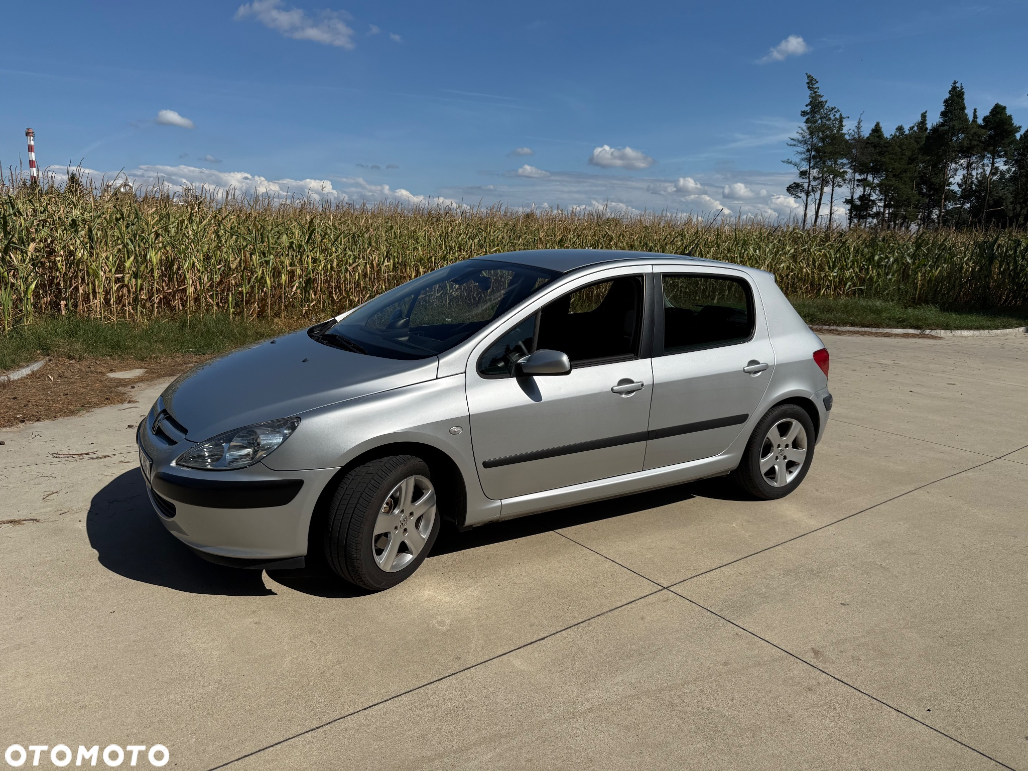 Peugeot 307 1.6 - 2