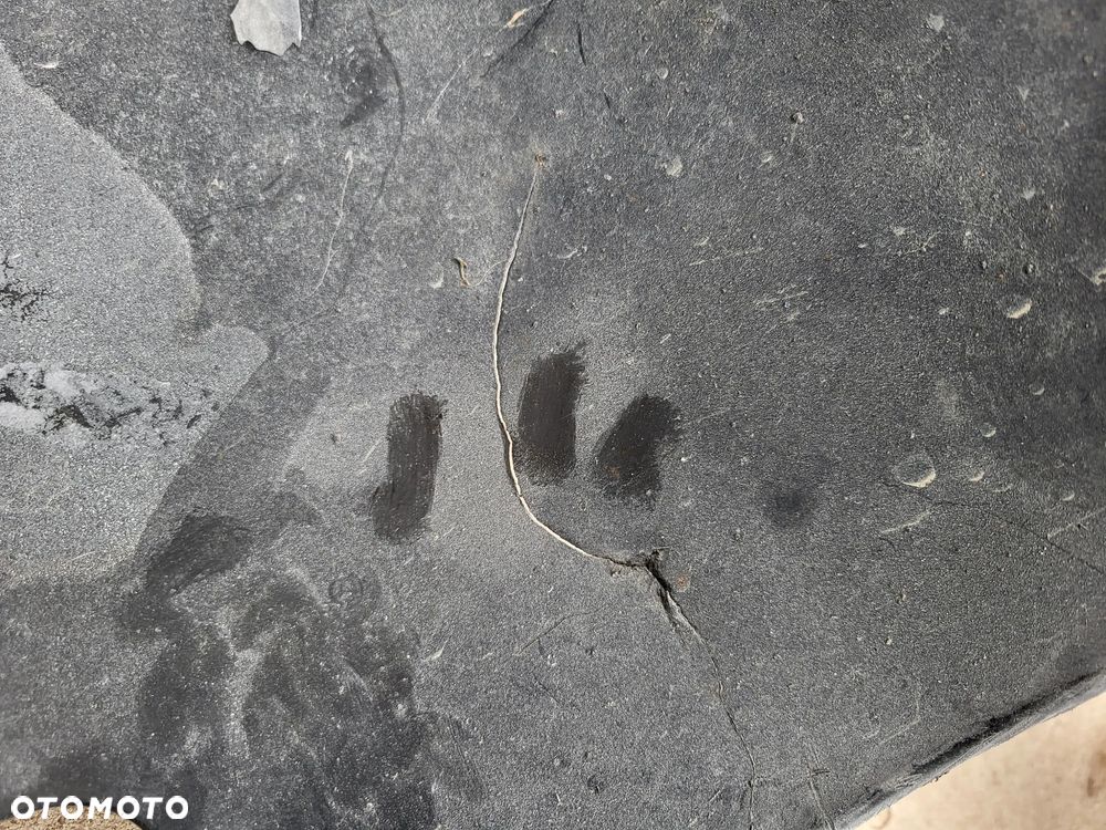 Nadkole lewe przednie Citroen C4 Picasso II - 8