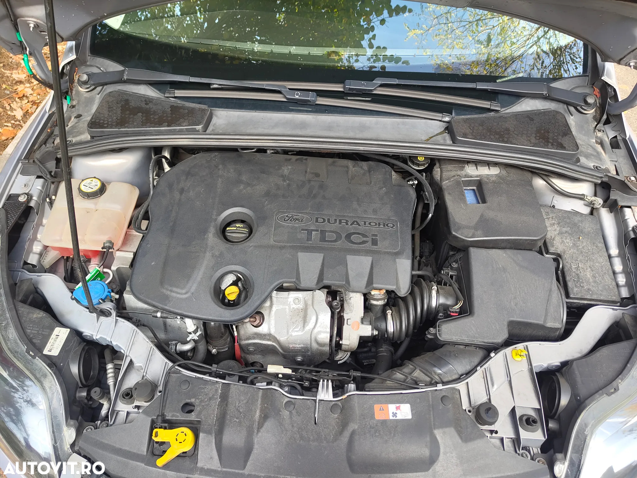 Ford Focus Turnier 1.6 TDCi ECOnetic 88g Start-Stopp-Sy Trend - 16