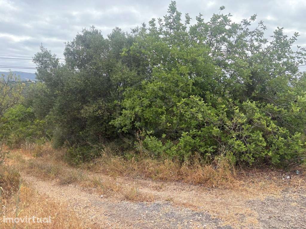 Terreno Agrícola de 78.820 m² entre Tôr, Salir e Querença, Algarve - Grande imagem: 3/16