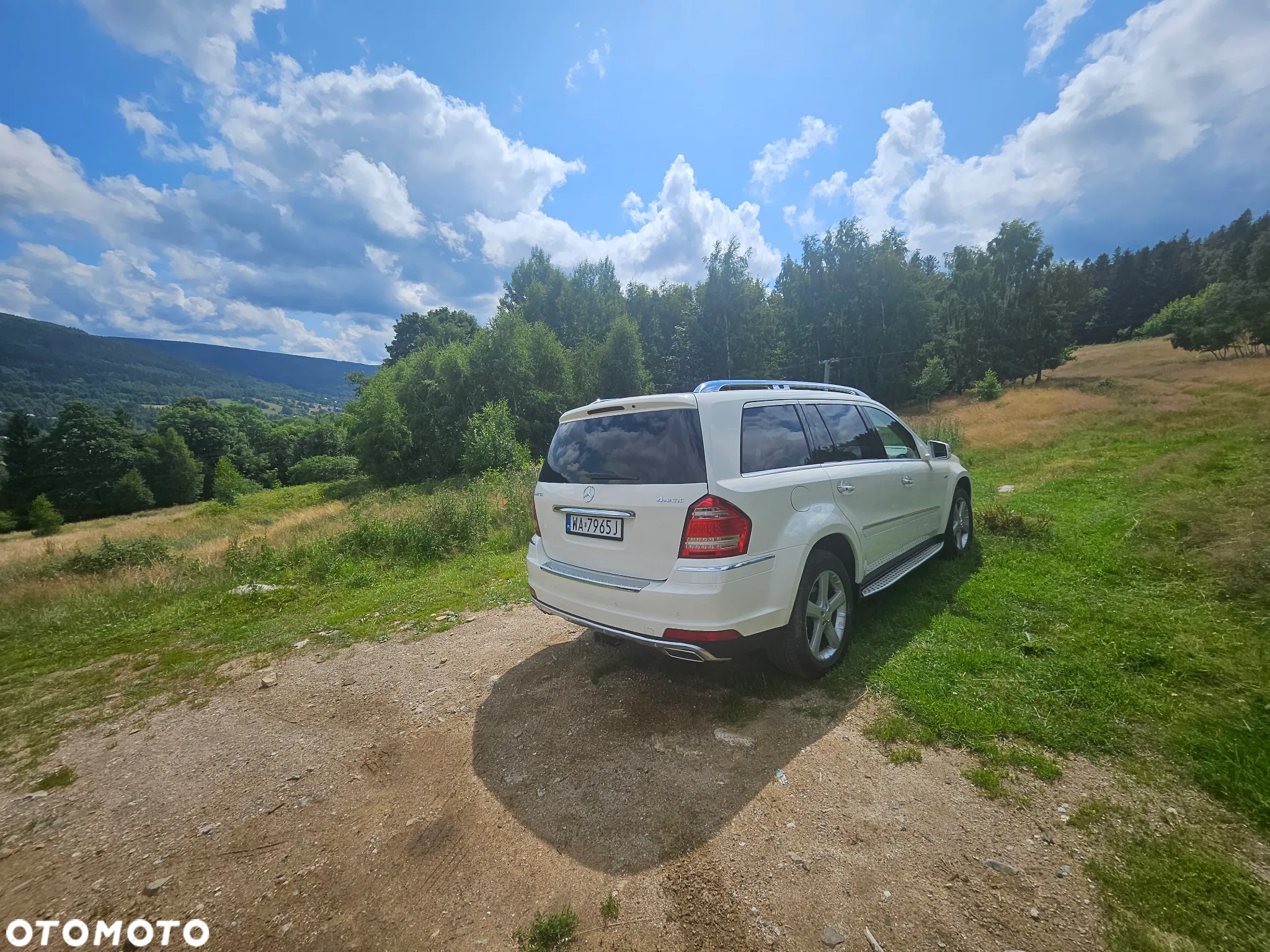 Mercedes-Benz GL 350 BlueTEC 4Matic 7G-TRONIC - 8