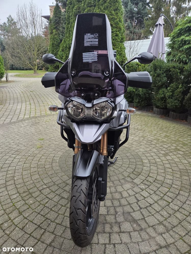 Triumph Tiger - 7