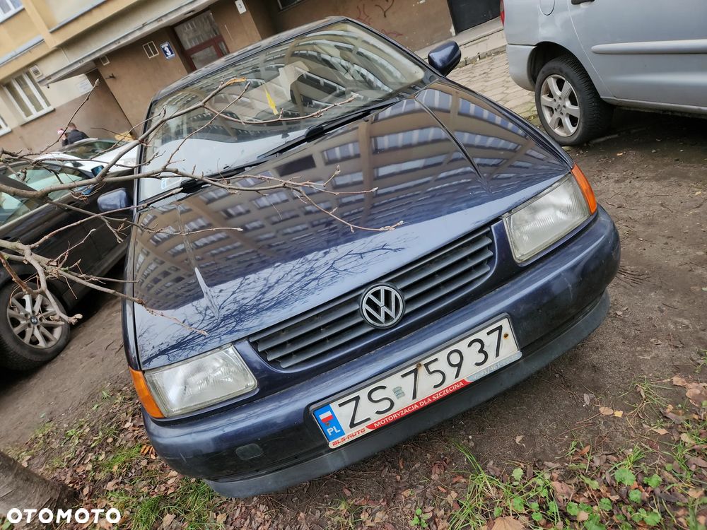 Volkswagen Polo - 4