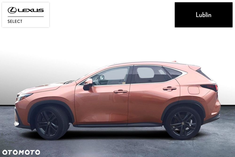 Lexus NX - 2