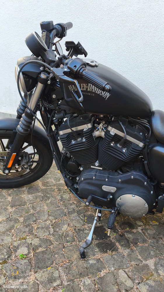 Harley-Davidson 883 FMACD0 - 2