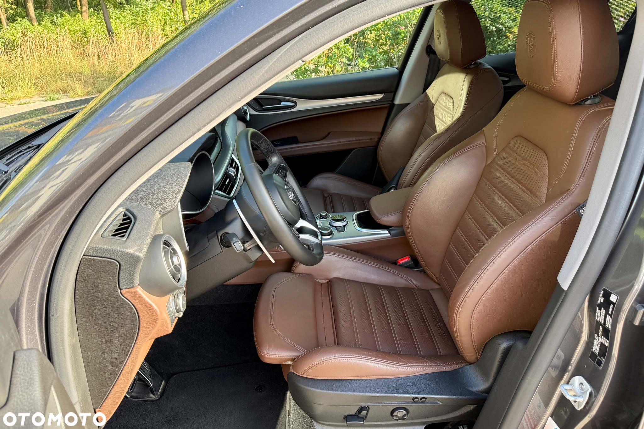 Alfa Romeo Stelvio 2.0 Turbo Veloce Q4 - 9
