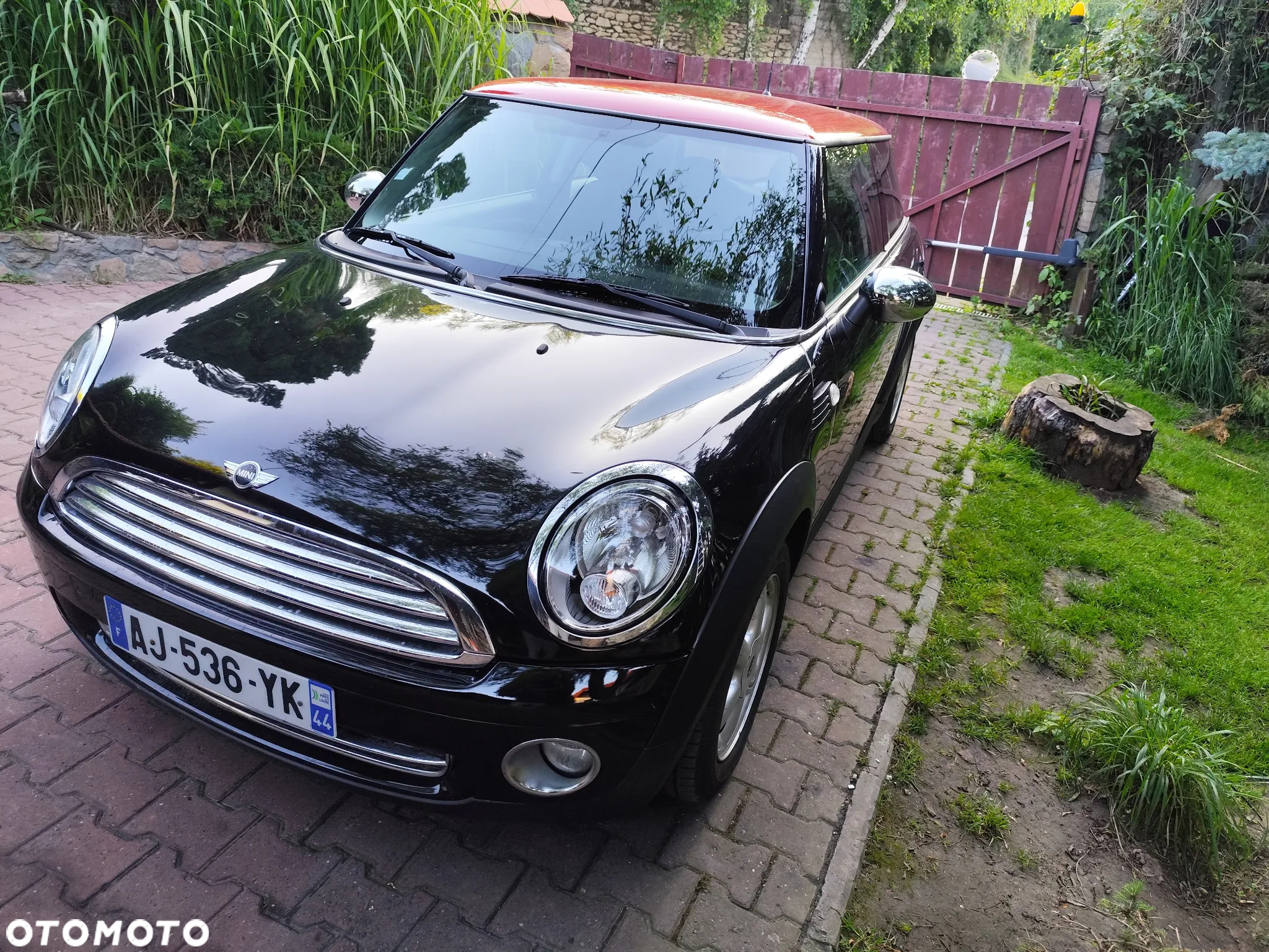 MINI ONE Standard - 8