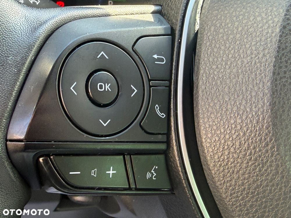 Toyota RAV4 2.5 Hybrid Comfort 4x2 - 18