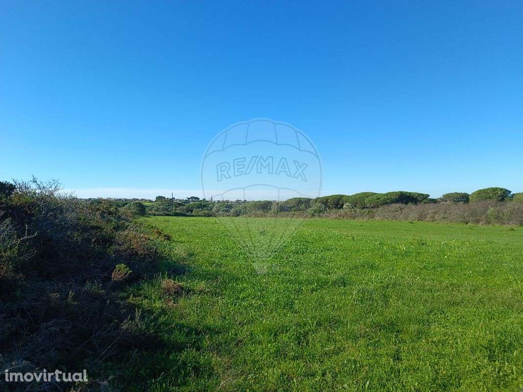 Terreno  para arrendamento - Grande imagem: 2/5