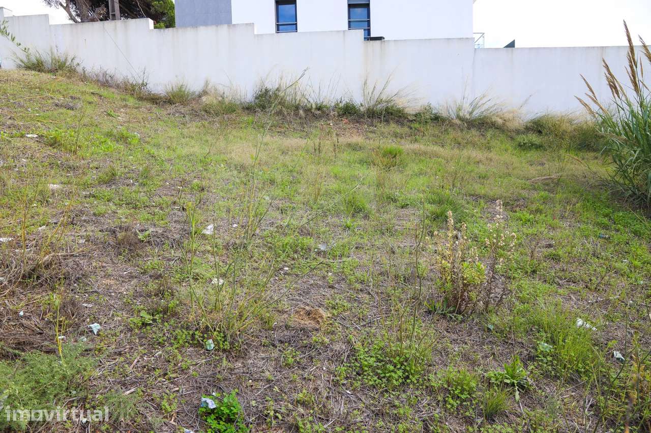 Lote Urbano na Apelação para Moradia. - Grande imagem: 2/15