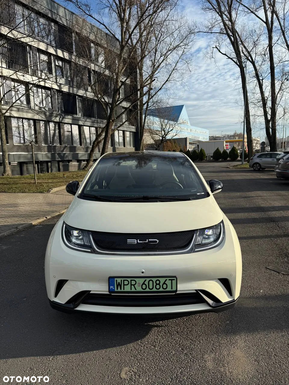 BYD Dolphin Active - 2